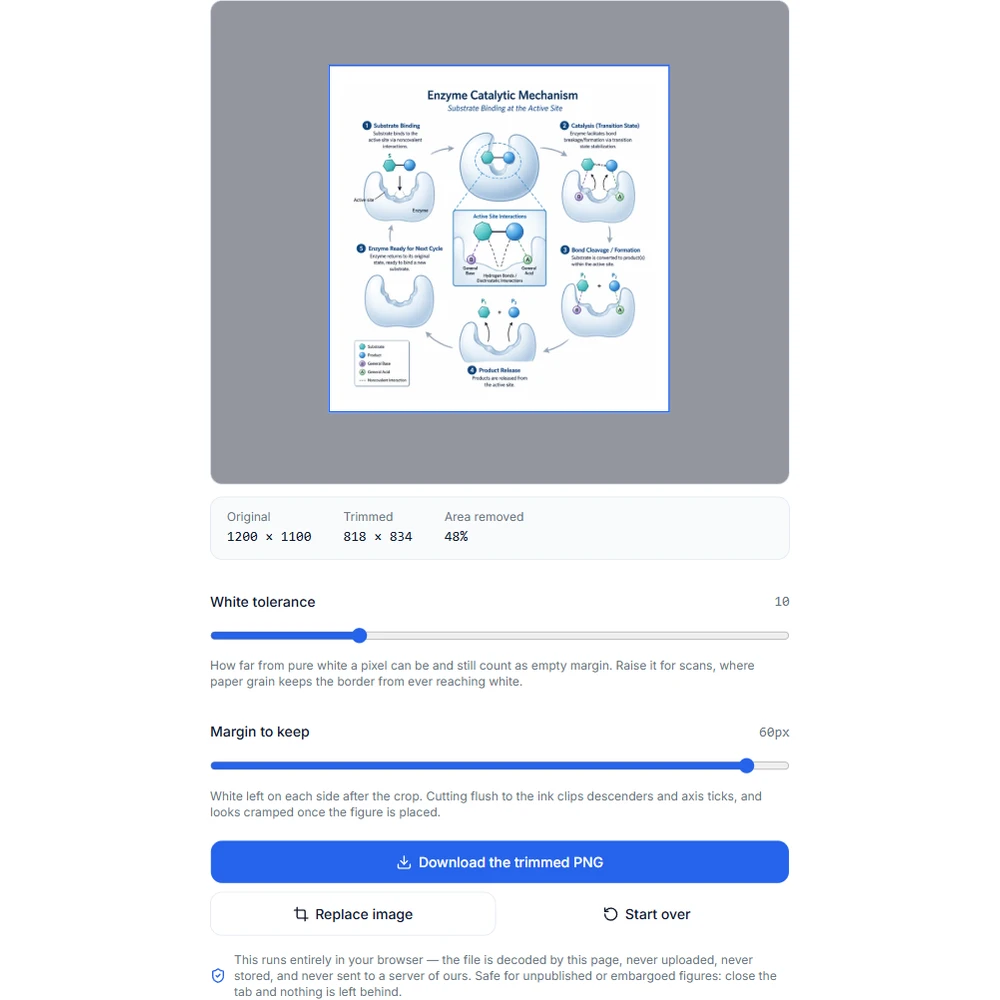 The padding slider adding a margin of white back around the detected content